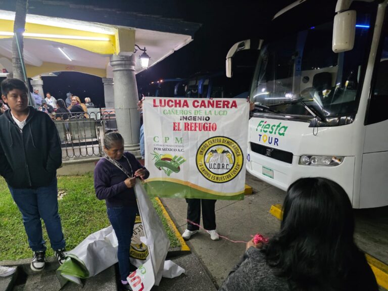 Imagen de WhatsApp 2025-11-11 a las 08.06.49_c79bf054