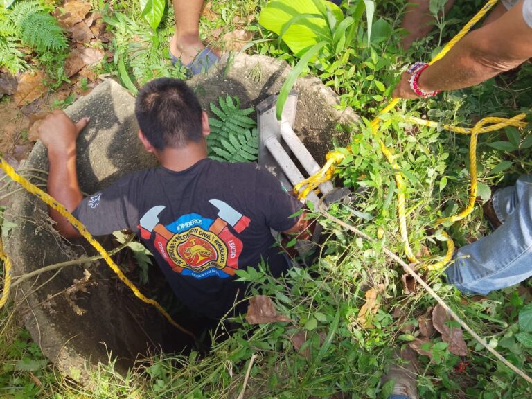 WhatsApp Image 2025-12-18 at 4.23.08 PM1