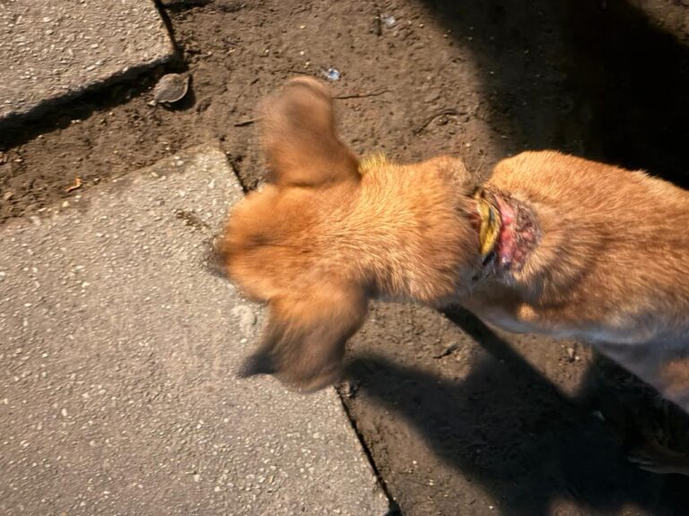 WhatsApp Image 2026-01-08 at 8.35.26 AM