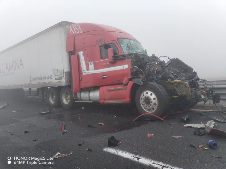 WhatsApp Image 2026-01-11 at 12.41.27 PM2