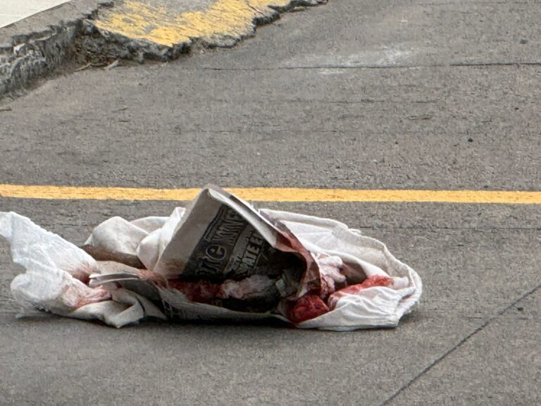 WhatsApp Image 2026-01-12 at 10.47.31 AM