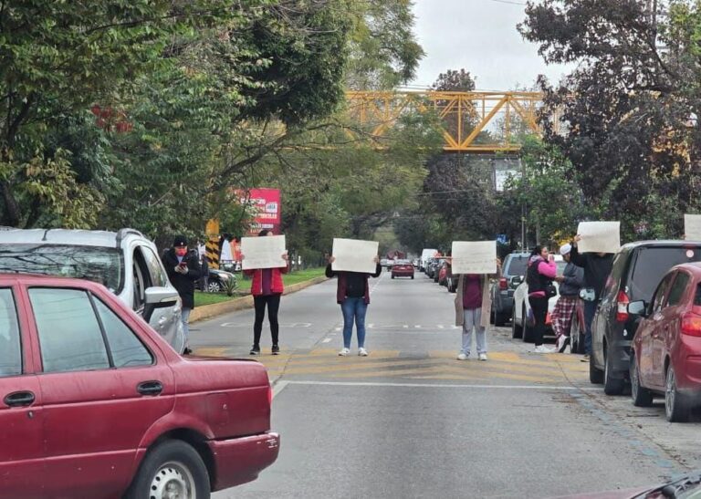 WhatsApp Image 2026-01-13 at 8.49.55 AM