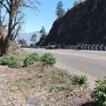 FB_IMG_1771620857421