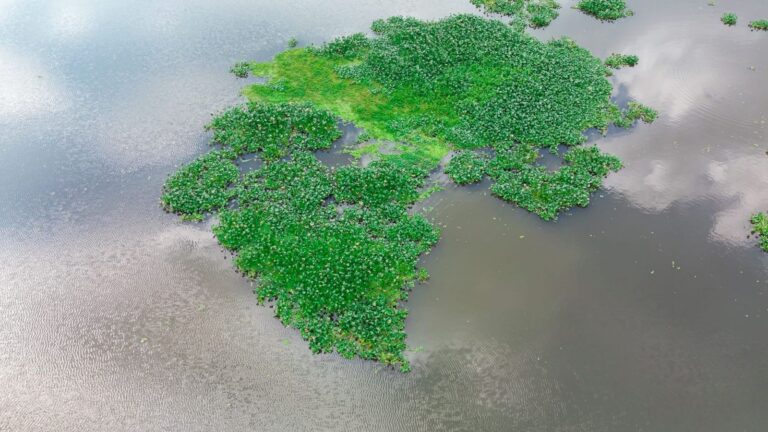 WhatsApp Image 2026-02-07 at 6.43.51 PM (1)